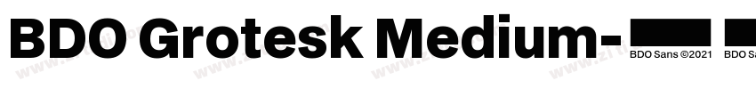 BDO Grotesk Medium字体转换